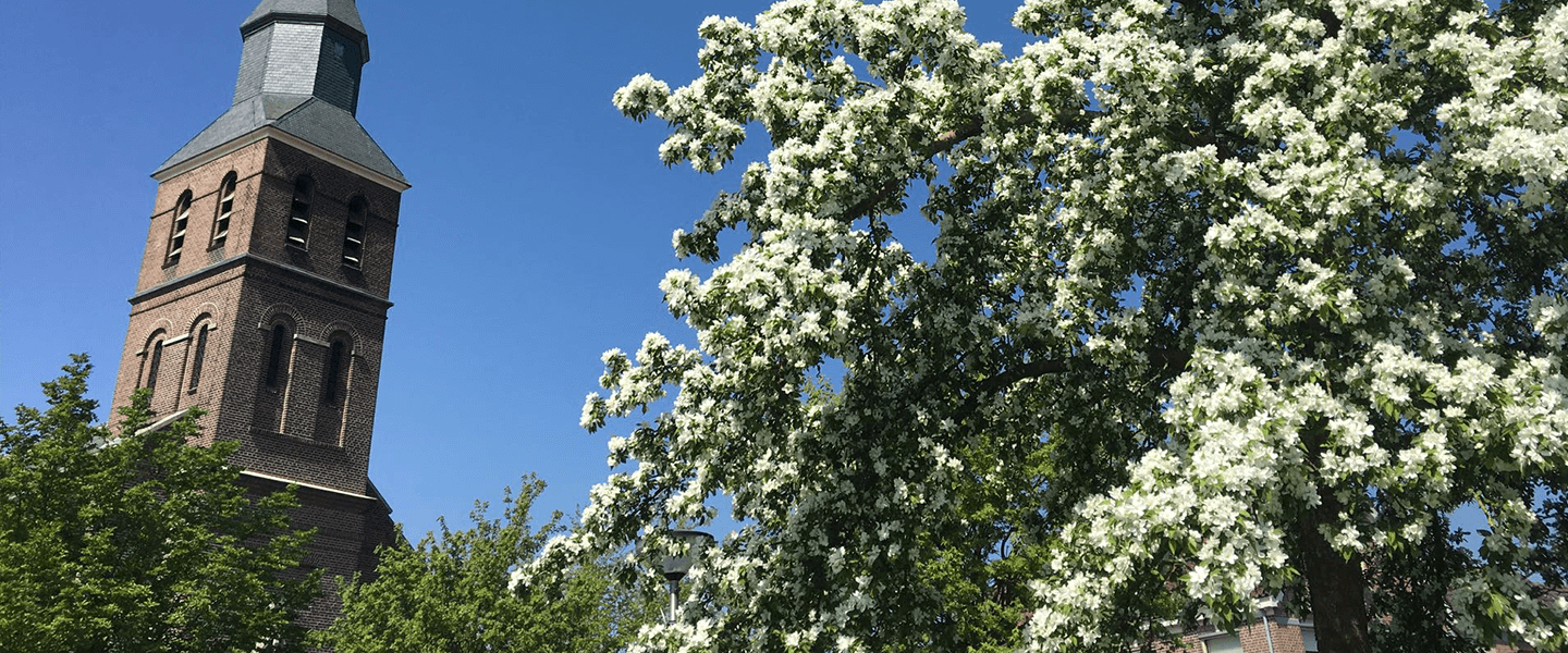 Fietsen & Wandelen