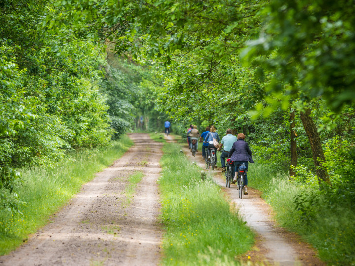 Fietsen & Wandelen