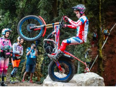 𝗧𝗿𝗶𝗮𝗹𝗚𝗣