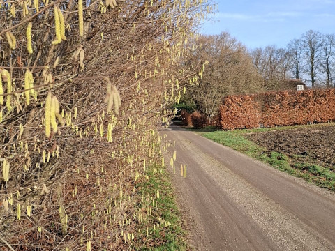 Gooijschepad Keijenborg